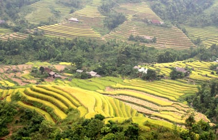 Four-Day Trekking Adventure in Hà Giang, Vietnam