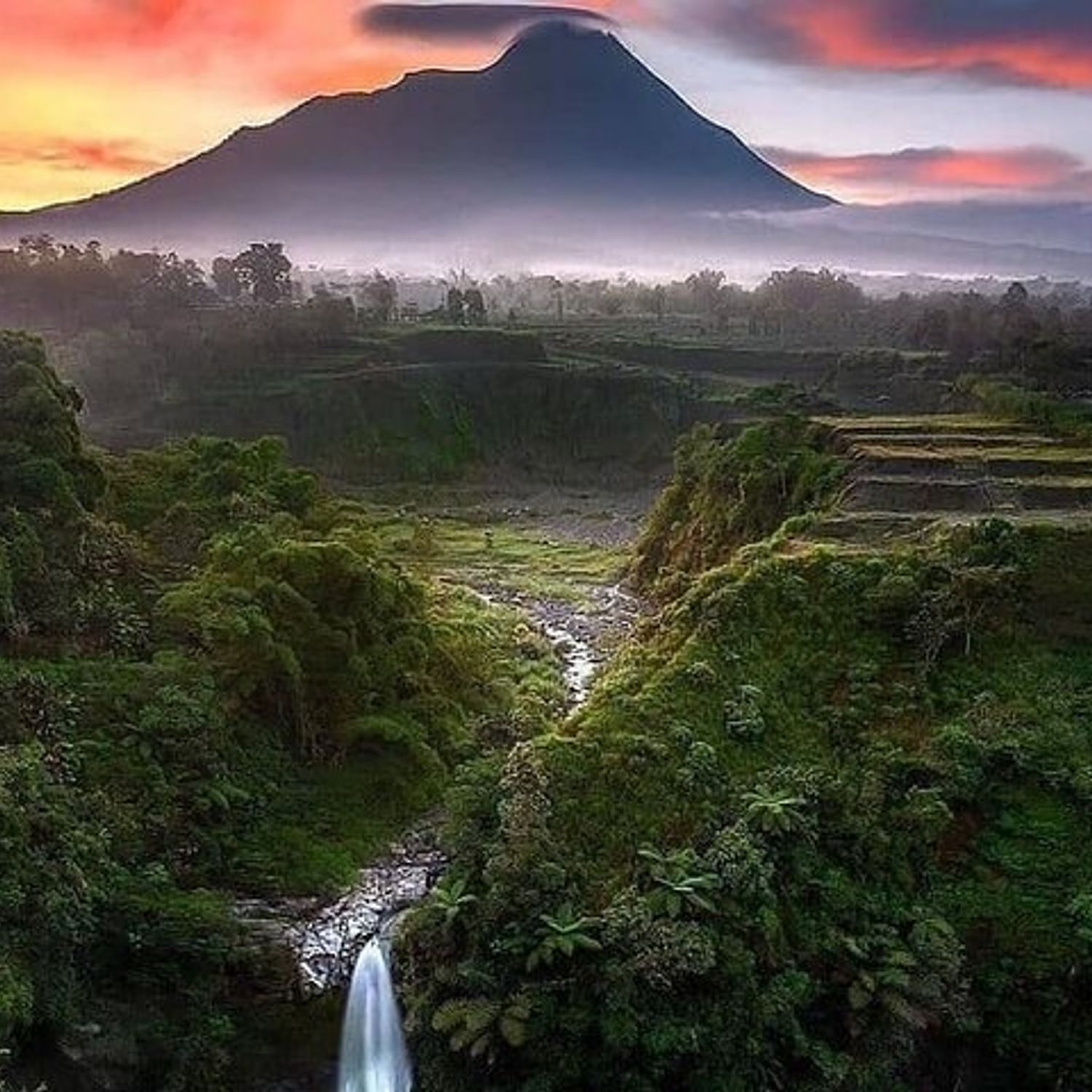 Selogriyo Temple and Trekking Java Rice Terraces, hidden waterfall ...