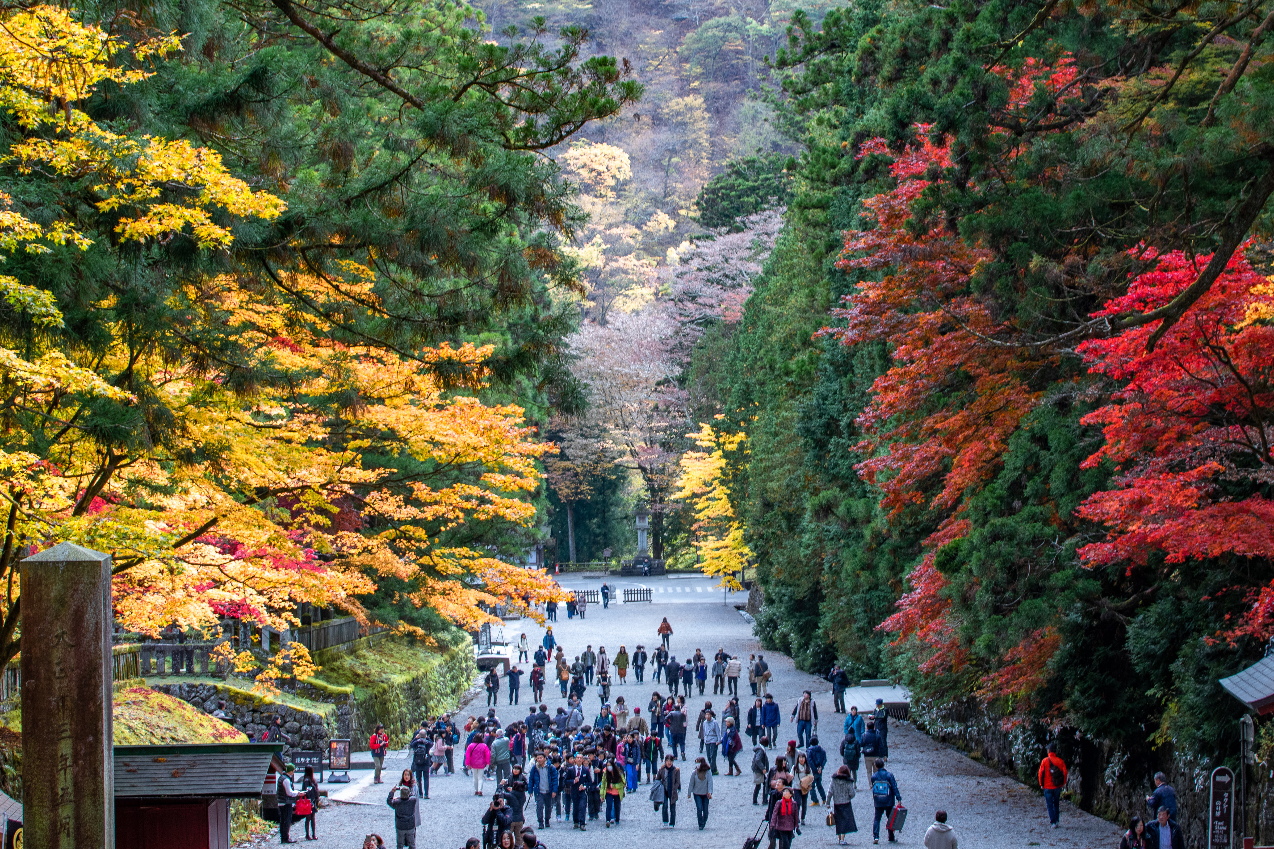 Nikko Custom Day Tour