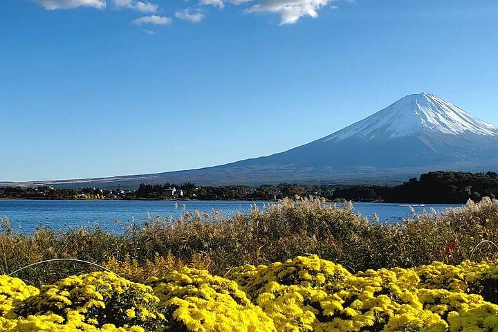 Mt. Fuji and Hakone Private Tour with Bullet Train Return