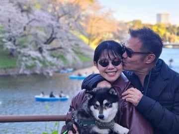 Tokyo Private Cherry Blossom Tour with a Shiba Inu & Shrine Walk