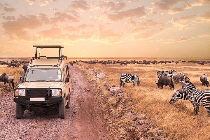 Luxury Masai Mara Private Safari: Experience the Big 5 in Style