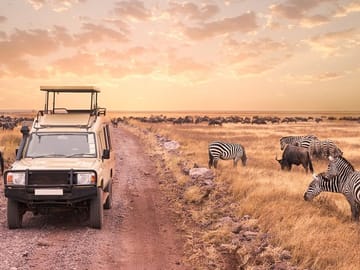 3-Day Luxury Private Safari in Masai Mara, Kenya