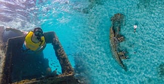 SNORKELING WITH TURTLES  2