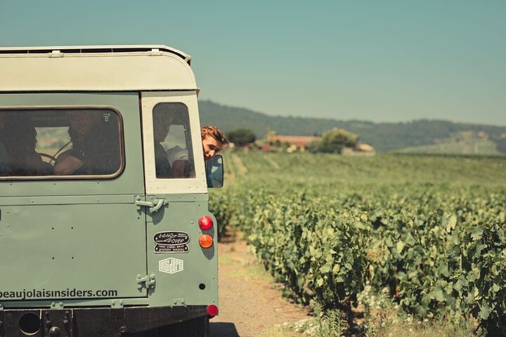 A land rover is driving on a dirt path next to rows of vines. A man's head pokes out of the front window
