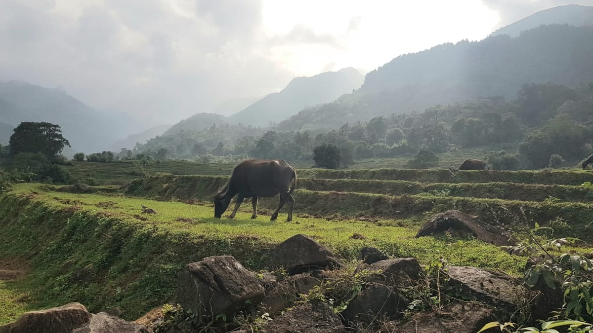 Knuckles Mountains Range 8 hours day tours from Kandy city