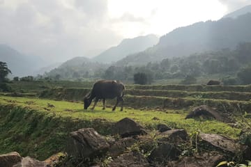 Hiking Tour in the Knuckles Mountains near Kandy, Sri Lanka