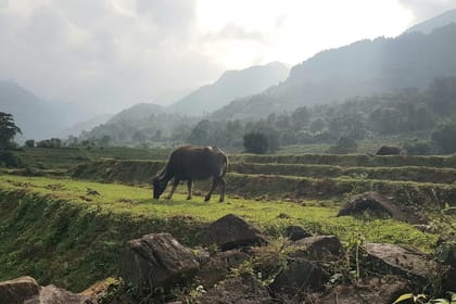 Knuckles Mountains Range Day hiking tours (All inclusive)