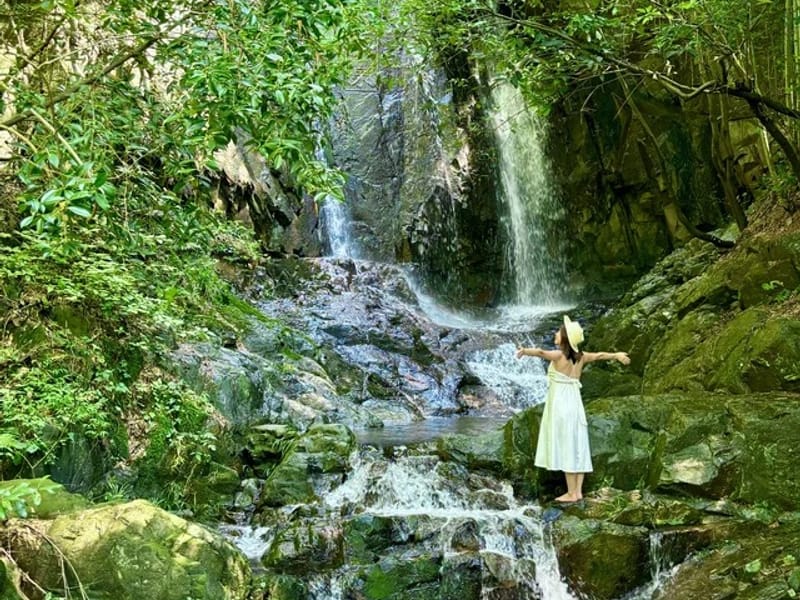 Hangzhou: West Lake Hills Heart-Loop Scenic Private Day Tour