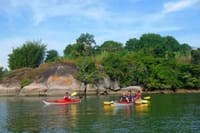 Mangrove and Beach Kayak Tour BY PARATY TOURS 7