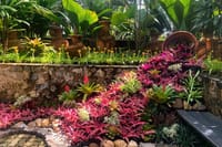 Private Nong Nooch VIP Tour Skywalk Dinosaurs and with Lunch 8