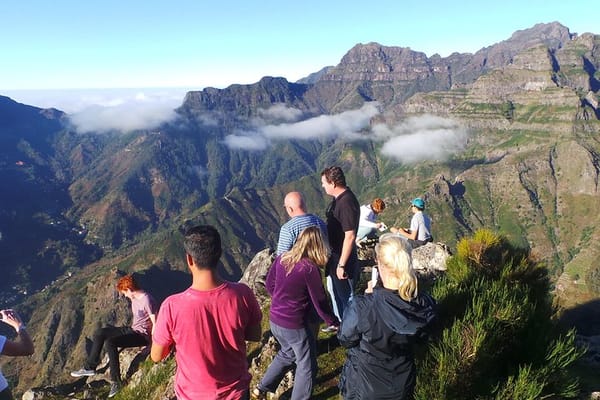 Private VIP Half-Day 4X4 Tour: East or West