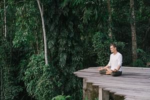 Full day Guided Meditation tour with Lunch