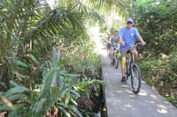 in the jungle
