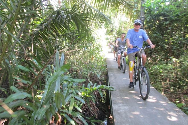 in the jungle