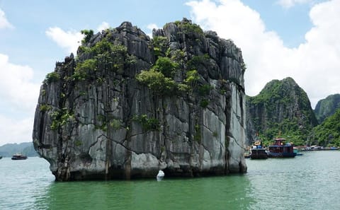 Half-Day Luxury Cruise in Ha Long Bay, Vietnam