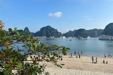 Best Halong 1 Day with Premium Cruise, Buffet Meal, Sunset Party