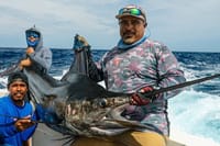 Private Cabo All-Inclusive 5-Hour Sportfishing Charter 3