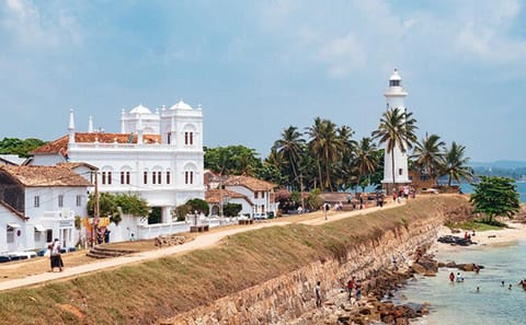 Three-Day Adventure and Cultural Tour from Colombo