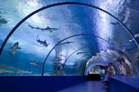 Alanya: Antalya Aquarium Ticket With Optional Transfer 3