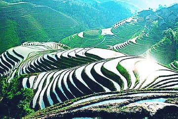 Longji Rice Terraces and Minority Village Small Group Tour