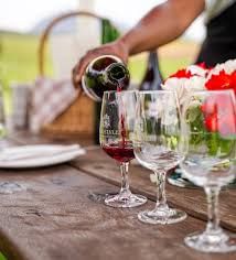 “Line of wine glasses each filled with a different varietal for blending at Middelvlei Wine Estate, Stellenbosch