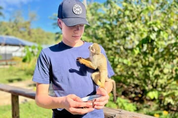 Damajagua Waterfalls and Monkey Private Van Tour