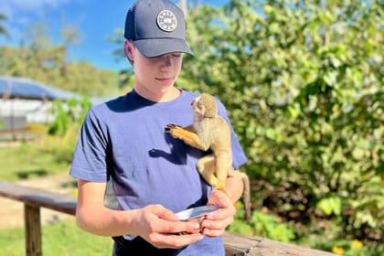 Damajagua Waterfalls and Monkey Private Van Tour