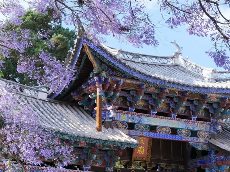 Half-Day Weishan Ancient Walled Town Walking Tour from Dali