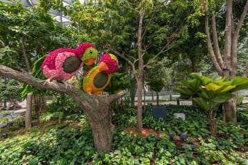 Walking Net Adventure and Canopy Park Access at Jewel Changi Airport