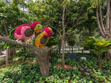 Jewel Changi Airport: Sky Nets Admission Ticket