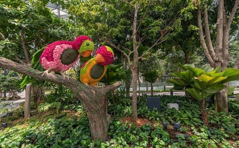 Walking Net Adventure and Canopy Park Access at Jewel Changi Airport
