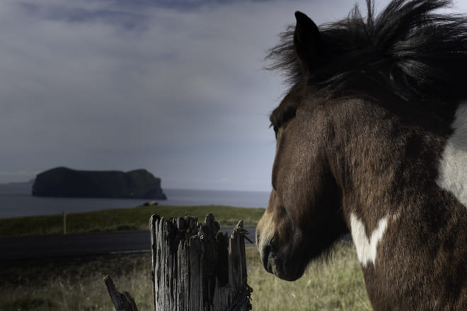 Private SuperJeep tour to the Westman Islands: History and Natural Wonders