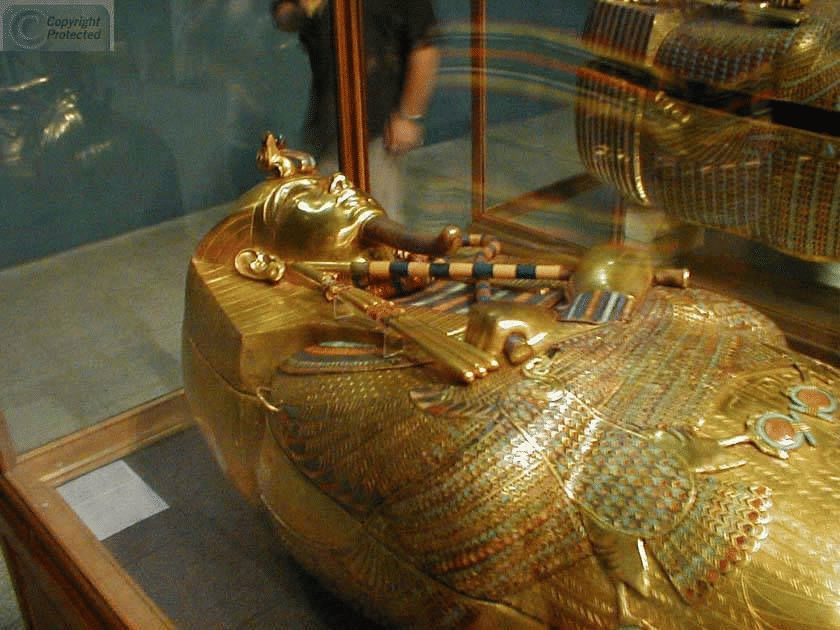 Tour of the Egyptian Museum, Lunch & Sunset Felucca Sailboat ride on the Nile 4