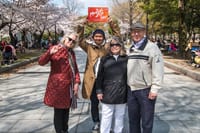 Hiroshima Peace (Heiwa) Walking Tour at World Heritage Sites 8