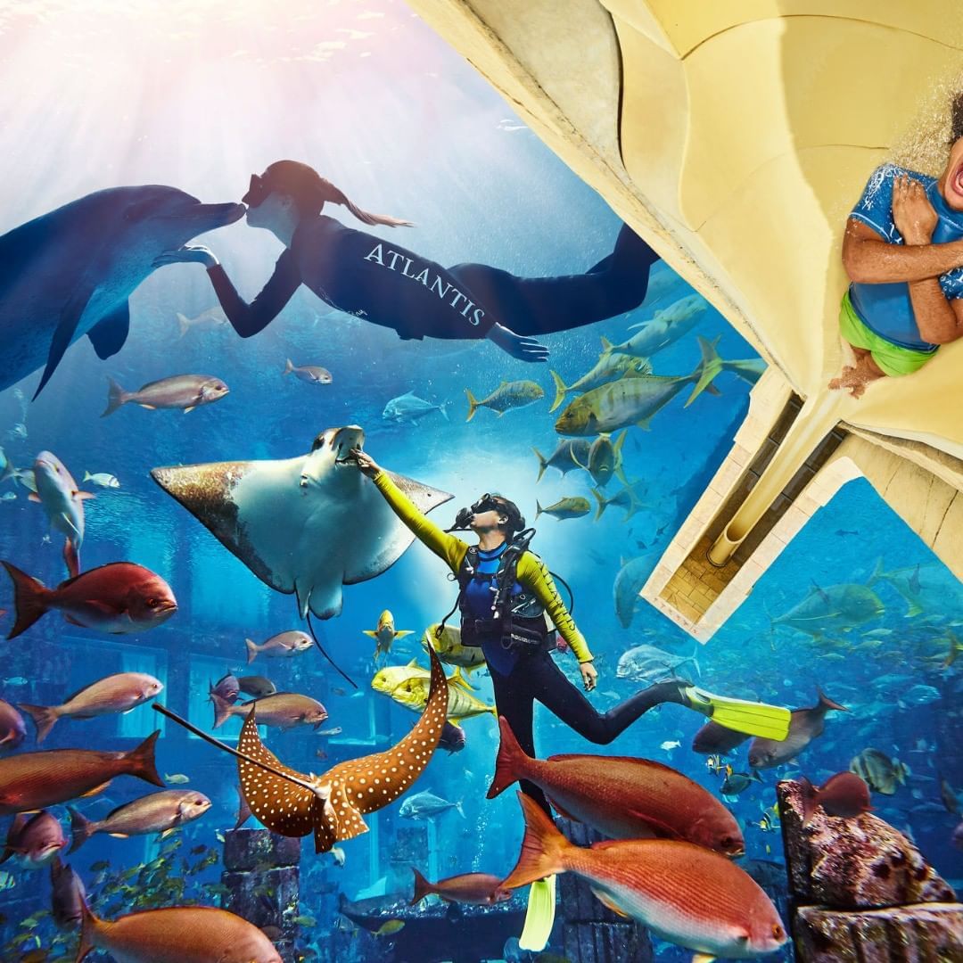 Aquaventure Waterpark