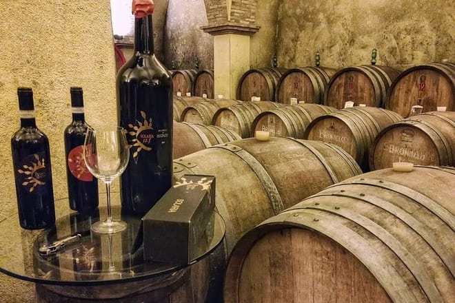 Solaria Winery Montalcino