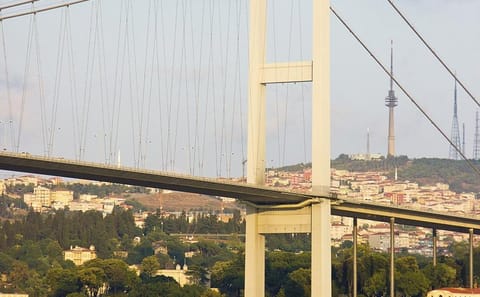 Istanbul Full-Day Tour with Bosphorus Cruise and Iconic Sites