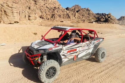 Family Car Buggy Sharm El Sheikh
