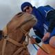Marrakech desert, Quad Bike, Camel Ride and Dinner Show