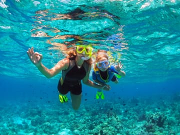 Sandbank, Snorkeling, Dolphin Cruise, Local Island Tour