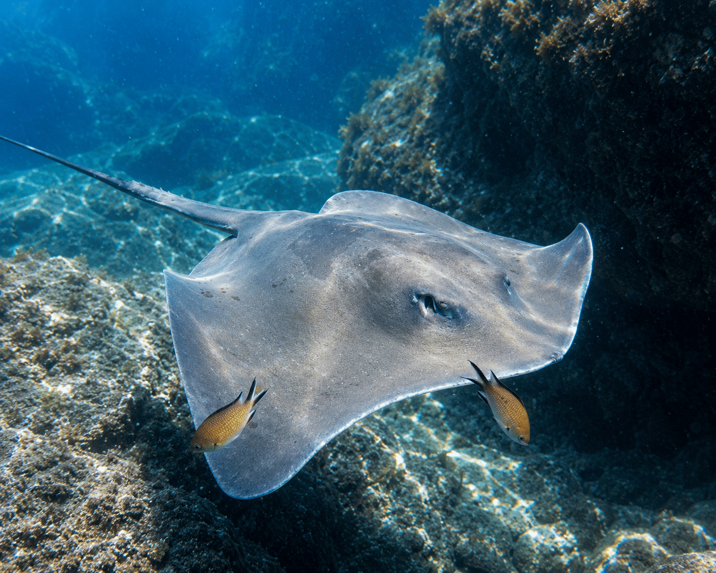 Prova immersioni a Ponta de São Lourenço