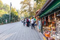 Sapanca Lake and Masukiye Tour 8
