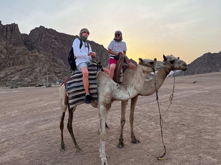 sharm el sheikh safari trip