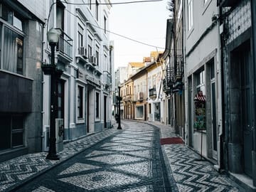 Aveiro and Costa Nova Full-Day Tour from Porto