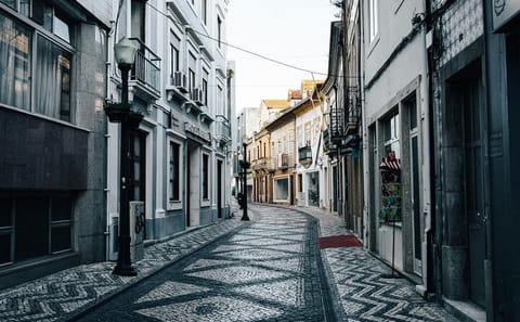 Aveiro and Costa Nova Full-Day Tour from Porto