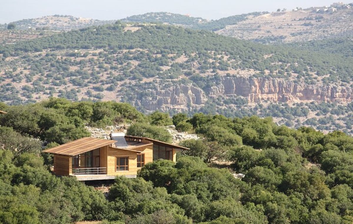 2-Night Jordan Private Tour: Jerash, Ajloun, Wadi Rum, and Dead Sea