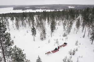 Daytime Reindeer Safari - 3-hour Wilderness Experience in Rovaniemi