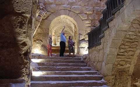 Private Day Tour of Umm Qais and Ajloun from Amman