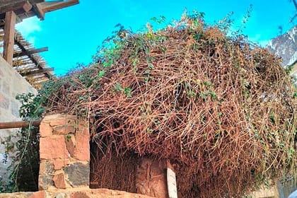 Explore Saint Catherine Monastery and Dahab in One Day